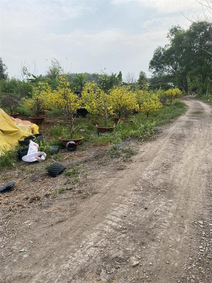 Bán đất p.tây nam tp hcm 21,5m mặt tiền, giáp rạch, gần sông sg, đường xe tải, tiện ra tl744 .