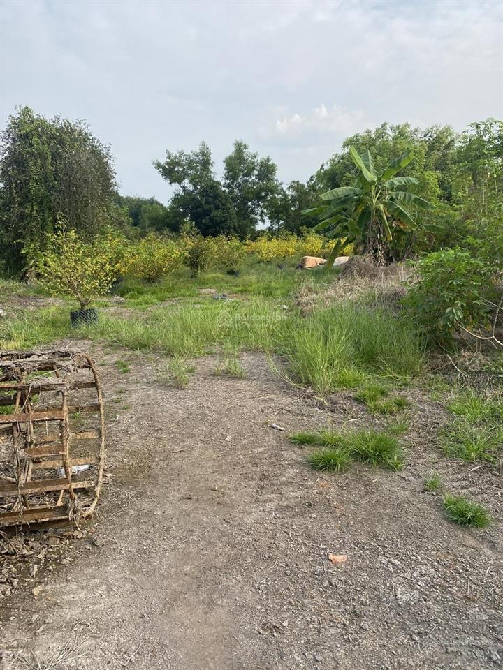 Bán đất p.tây nam tp hcm 21,5m mặt tiền, giáp rạch, gần sông sg, đường xe tải, tiện ra tl744 .