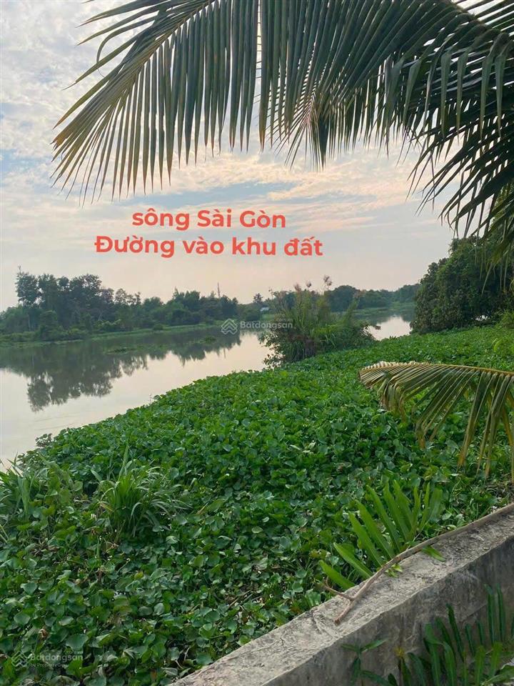 Bán đất p.tây nam tp hcm 21,5m mặt tiền, giáp rạch, gần sông sg, đường xe tải, tiện ra tl744 .