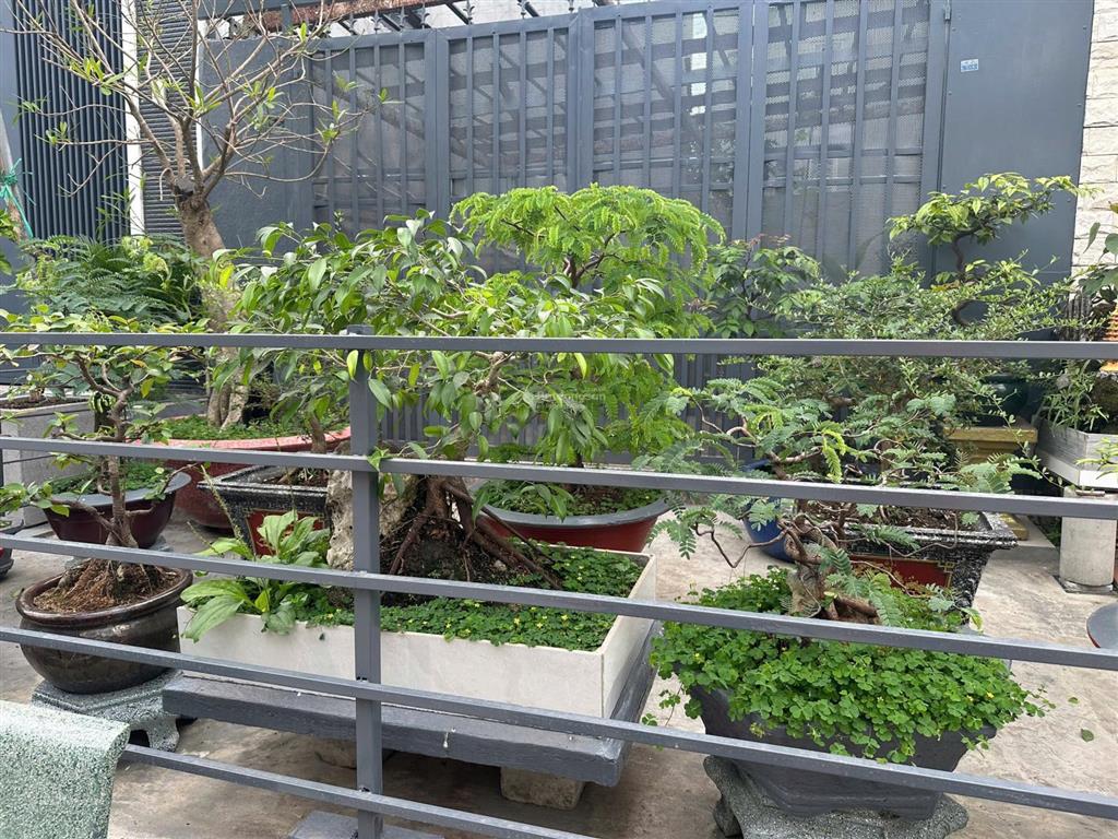 Nhà mới 3 tầng gần chợ khải hoàn hẻm 10m trần đại nghĩa diện tích 5 x 14 (70m)