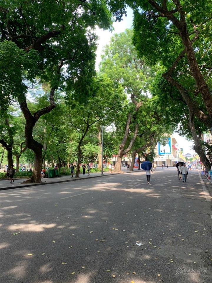 Nhà mặt phố. mặt hồ gươm. thiết kế cao cấp cho đại gia sở hữu. 30m² x7t thang máy. giá tốt