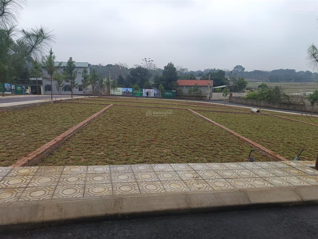 Đất view hồ đồng trạng  hạ tầng hoàn hảo  sát trục hồ tây ba vì  giá đầu tư