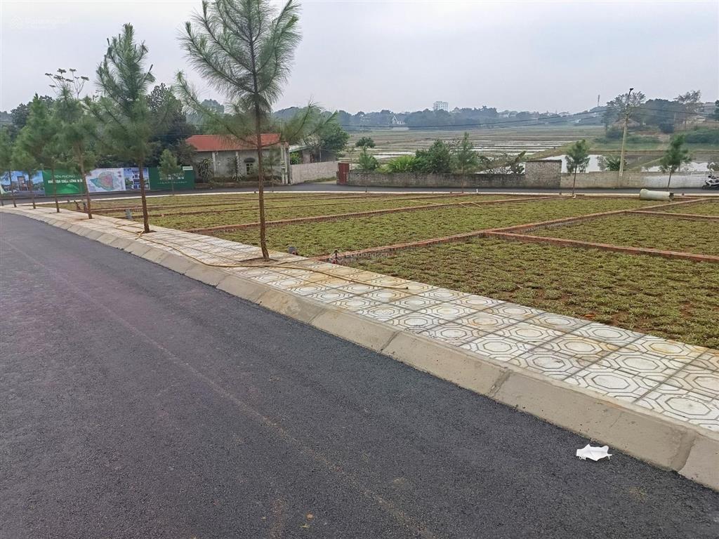 Đất view hồ đồng trạng  hạ tầng hoàn hảo  sát trục hồ tây ba vì  giá đầu tư