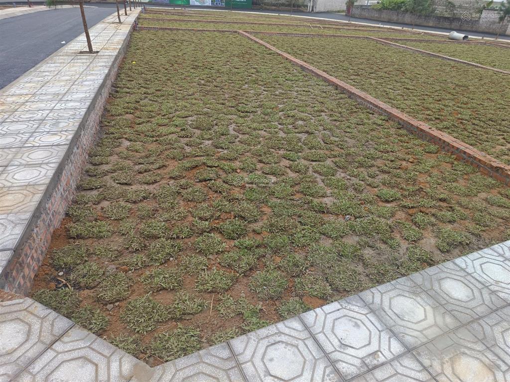 Đất view hồ đồng trạng  hạ tầng hoàn hảo  sát trục hồ tây ba vì  giá đầu tư
