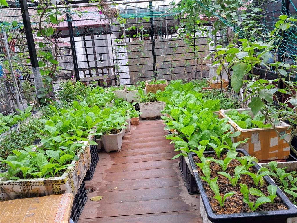 Bán nhà riêng giá rẻ hơn thị trường, ngõ 343 đội cấn, mt 7,5m, full nội thất, thiết kế đẹp