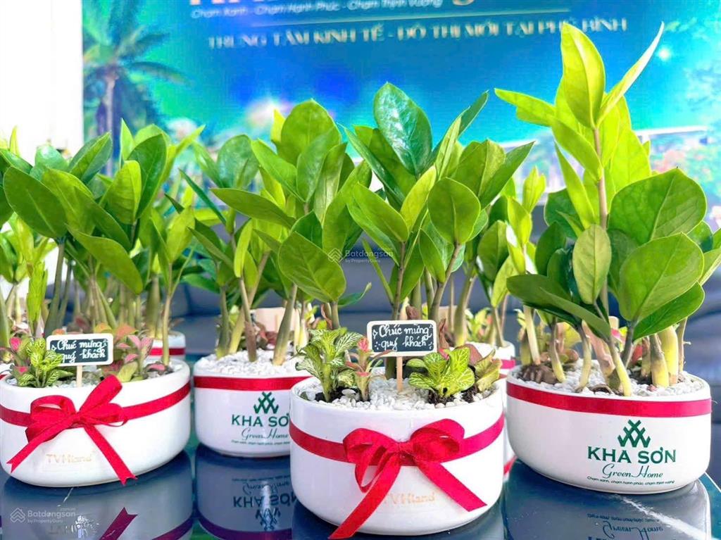 Kha sơn green home 1,7 tỷ sổ đỏ trao tay, nhận ngay 20 tấn xi măng xây nhà ở ngay.  0949 040 ***