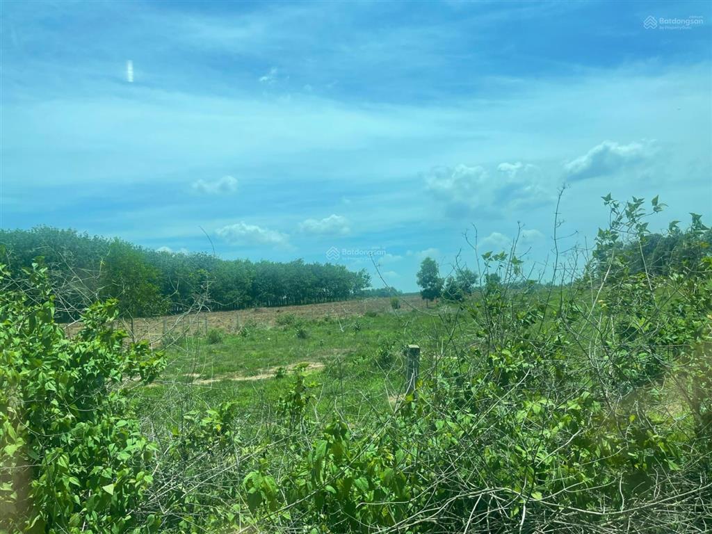 Giảm giá 1/3 so với lúc mua bán nhanh trong tuần tài sản này