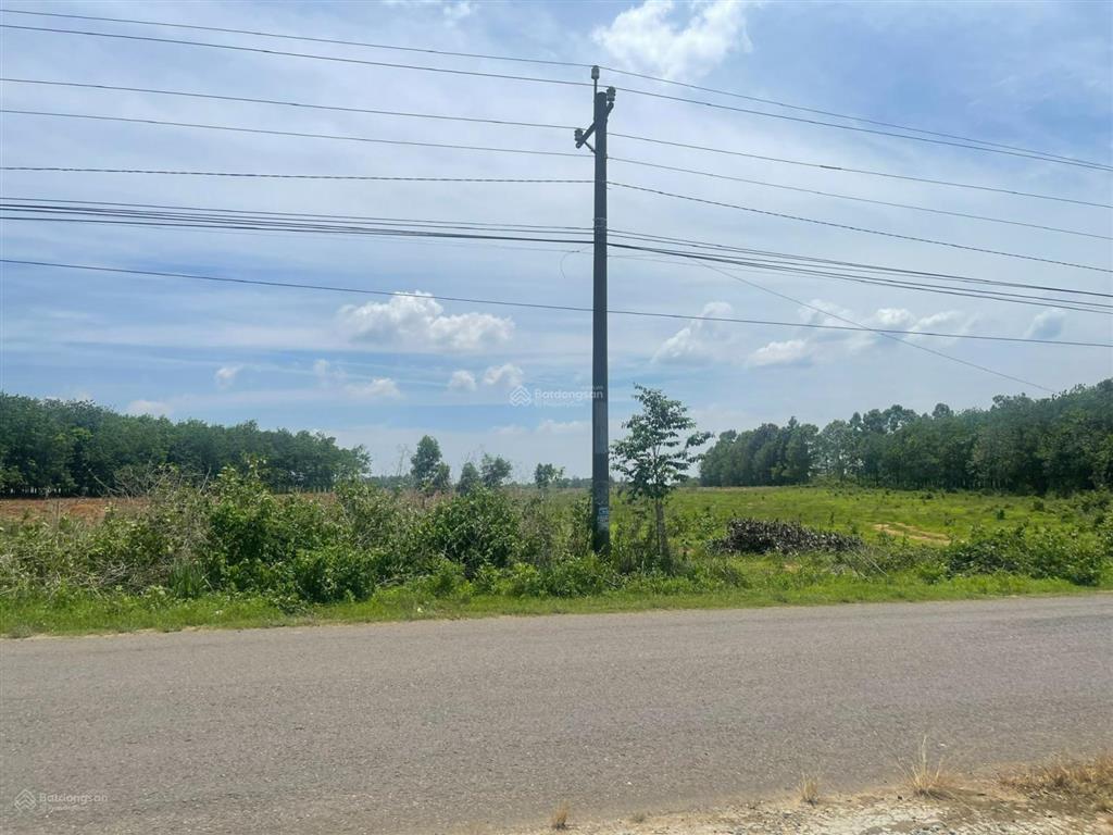 Giảm giá 1/3 so với lúc mua bán nhanh trong tuần tài sản này