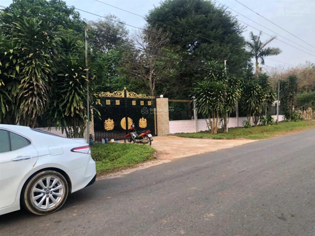 Bán gấp lô đất vườn đang trồng cây ăn trái phù hợp làm xưởng, nhà vườn, kho bãi