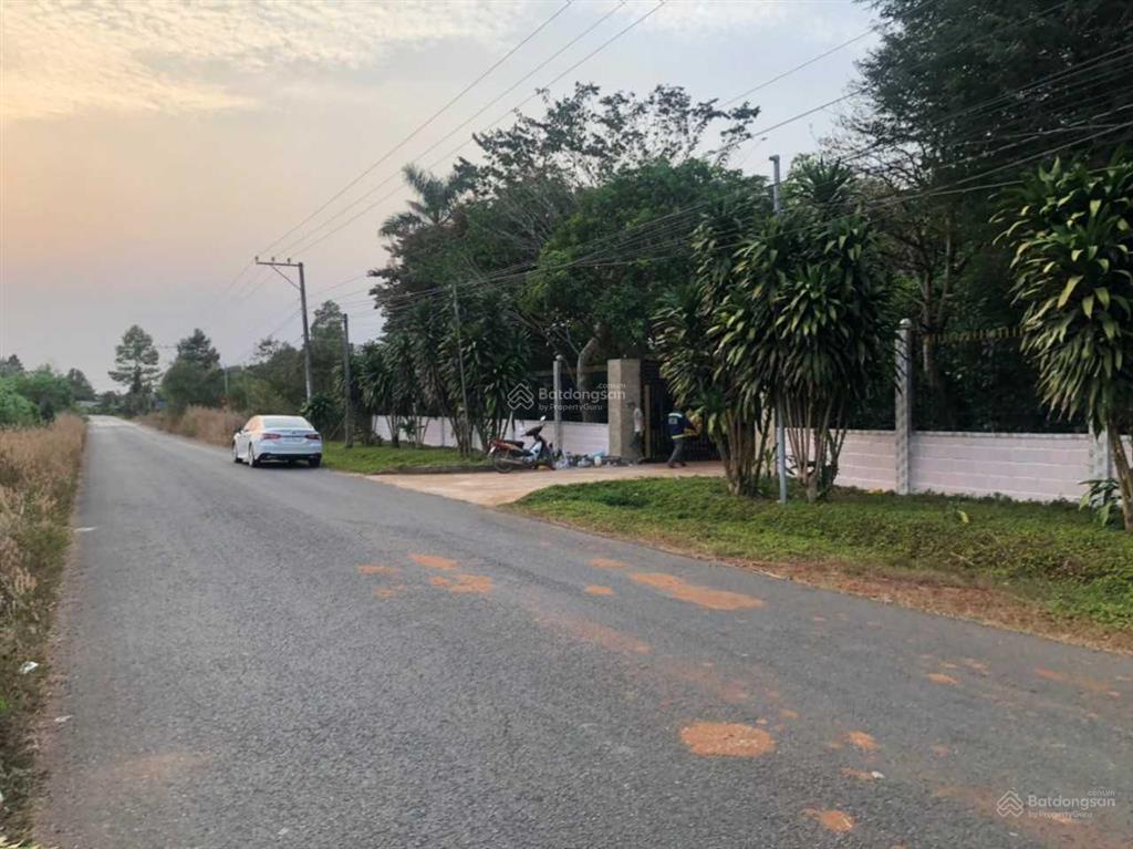 Bán gấp lô đất vườn đang trồng cây ăn trái phù hợp làm xưởng, nhà vườn, kho bãi