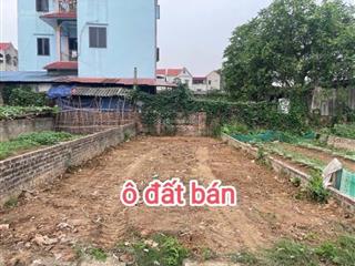 Dt63m .sổ đẹp chính chủ .xuân bách quang tiến sóc sơn .vị trí đắc địa