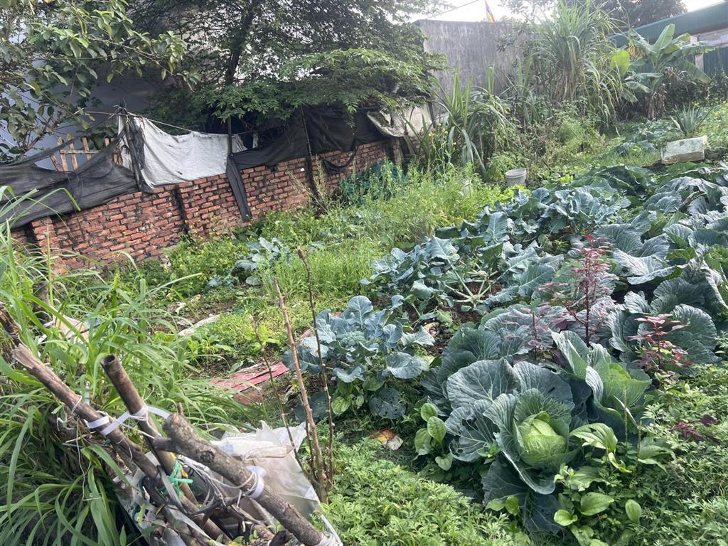 Bán nhanh lô đất vuông mặt tiền rộng sổ đẹp dt58m full hơn 2tỷ ninh môn hiền ninhsóc sơn.