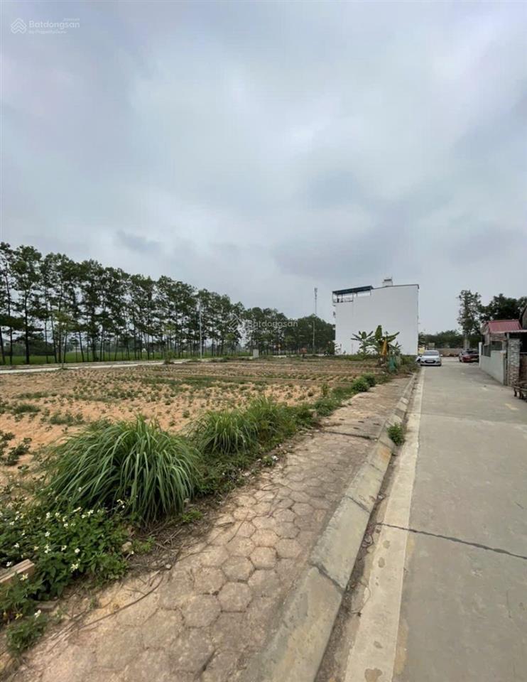 Diện tích to170m mặt tiền rộng 7m giá cực tốt . tân an hiền ninh sóc sơn.cơ hội đầu tốt .