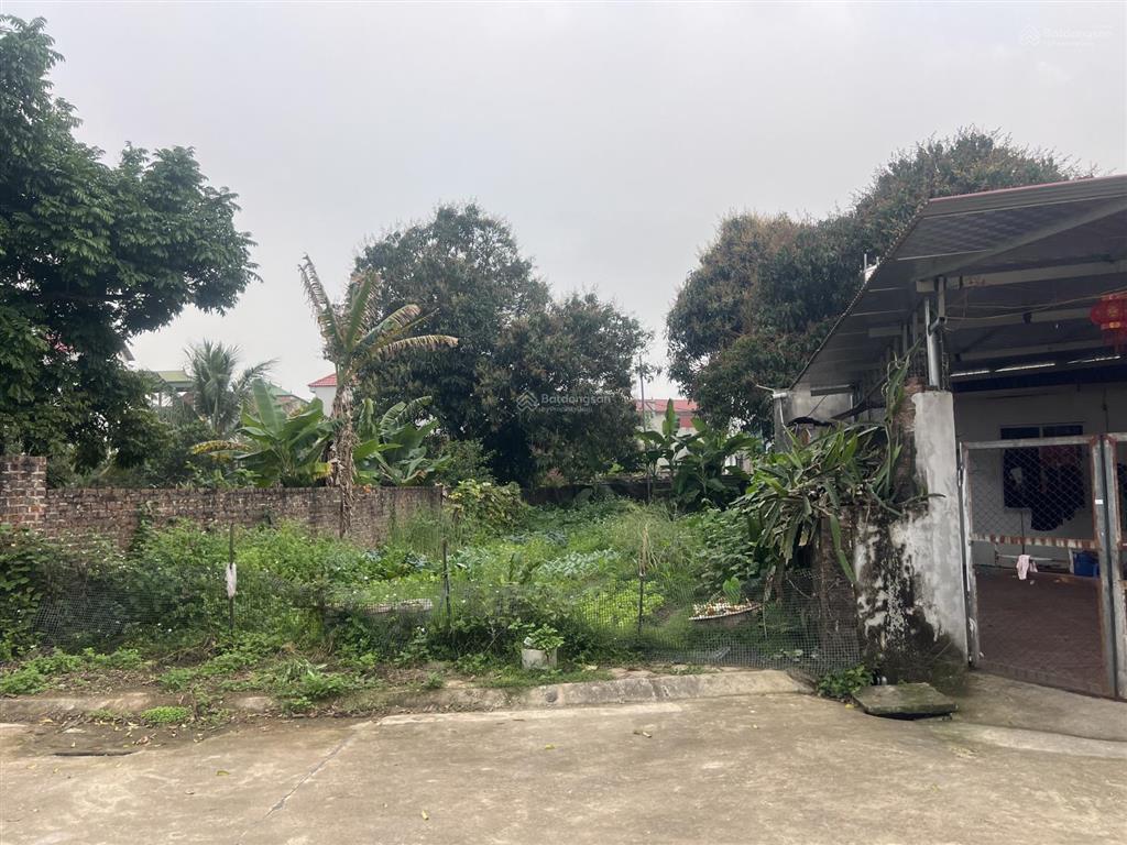 Diện tích to170m mặt tiền rộng 7m giá cực tốt . tân an hiền ninh sóc sơn.cơ hội đầu tốt .