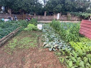 Bán 58m mt5m giá chưa đến 2tỷ .đồng lạc tiên dược sóc sơn