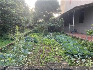 Đất đẹp tiên dược vị trí gần trung tâm xã sóc sơn dt100m full mt5m .giá đầu tư .