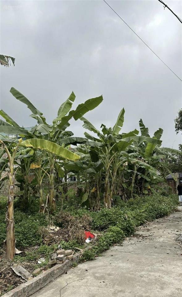 Chỉ còn 1lô giá cực tốt dt46m full giá có 1,7tỷ bắc thượng quang tiến sóc sơn