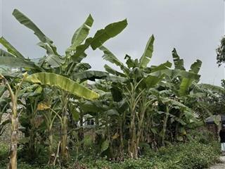 Chỉ còn 1lô giá cực tốt dt46m full giá có 1,7tỷ bắc thượng quang tiến sóc sơn