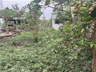 Dt75m mt6m giá chỉ 2tỷ 350tr yên ninh hiền ninh sóc sơn .vị trí đẹp tiềm năng tăng giá cao.