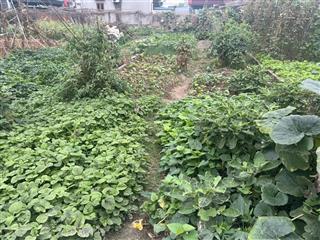 Bán 67m fullmt4m giá chỉ 2tỷ750tr bắc thượng quang tiến sóc sơn