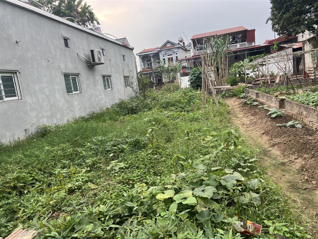 Đất đẹp giá tốt chủ nhiệt bán vệ linh phù linh sóc sơn dt90m mt6,5m đường thông rộng .