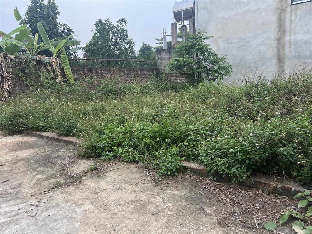 Bán 90m mặt tiền rộng 9m giá chỉ 12tỷ150đông sơn quang tiến nay là xã nội bài lô đất cực đẹp .