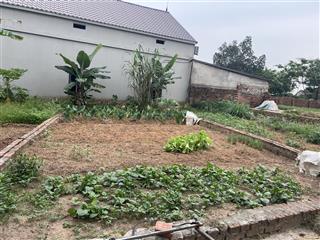 Lô đất đẹp dt61m mt5.4m giá chỉ 1tỷ 520tr thanh lại cộng hoà phù linh .đường thông rộng