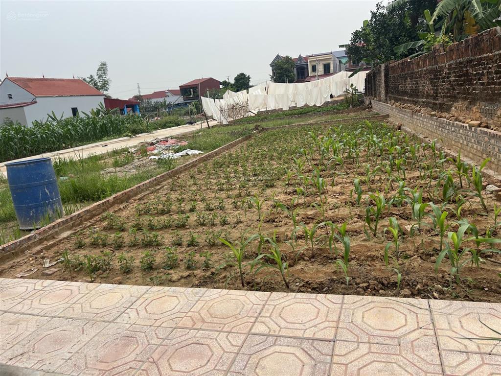 Dt80m fullmt5.4m giá chỉ hơn 2tỷ cộng hoà thanh trì sóc sơn đất đẹp vị trí đắc địa tiềm năng