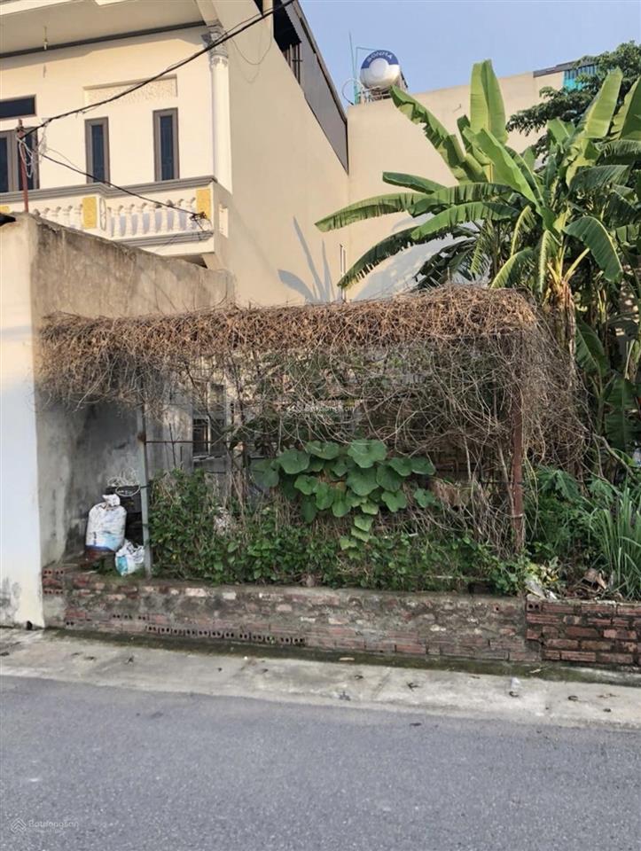 Bán 60m full sổ đỏ chính chủ đông bài mai đình sóc sơn .đất trục chính kinh doanh giá cực tốt .
