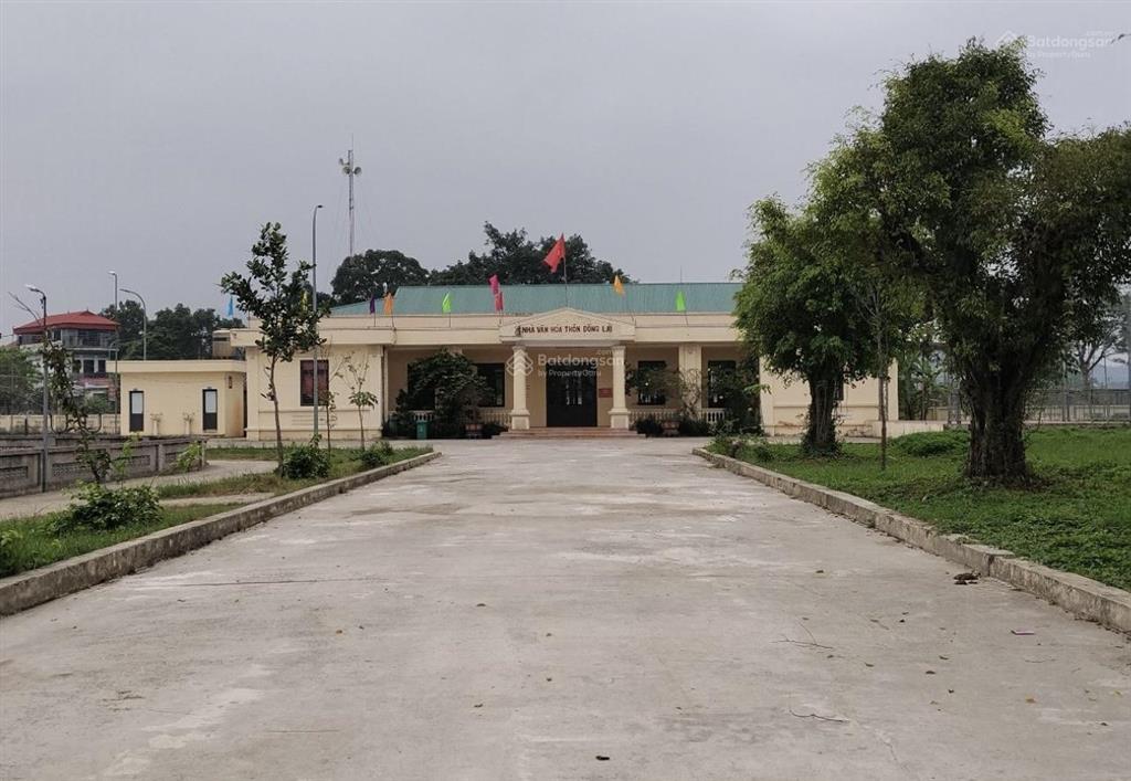 100m full mt5m đất hướng nam ngay trục chính kinh doanh đông lai quang tiến giá chỉ 3tỷ 250tr
