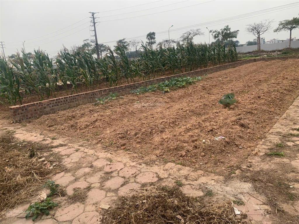 Bán lô góc 2mặt thoáng 95m mt5m khu đấu giá hương đình mai đình sóc sơn .