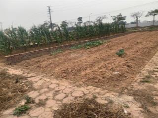Bán lô góc 2mặt thoáng 95m mt5m khu đấu giá hương đình mai đình sóc sơn .