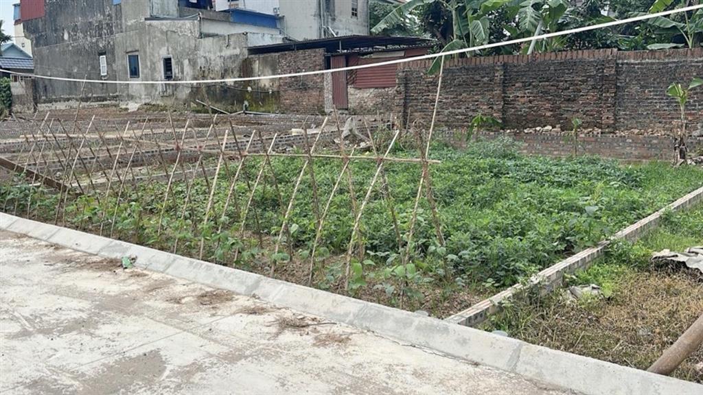 Cộng hoà phù linh sóc sơn dt80m full đường thông rộng giá chỉ hơn 2tỷ xíu ạ