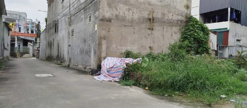 98m fullmt 5,2m  giá cực tốt để bạn đầu tư  nội phật  mai đình  sóc sơn.