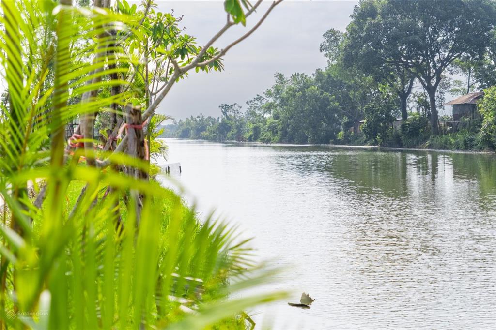 Bán gấp căn biệt thự vip centa riverside, tài sản khan hiếm dành cho nhà đầu tư nhanh tay