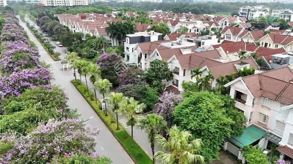 Bán biệt thự song lập mặt đường đôi 30m ciputra tây hồ 198m2 view hà nội academy . 0966 998 ***