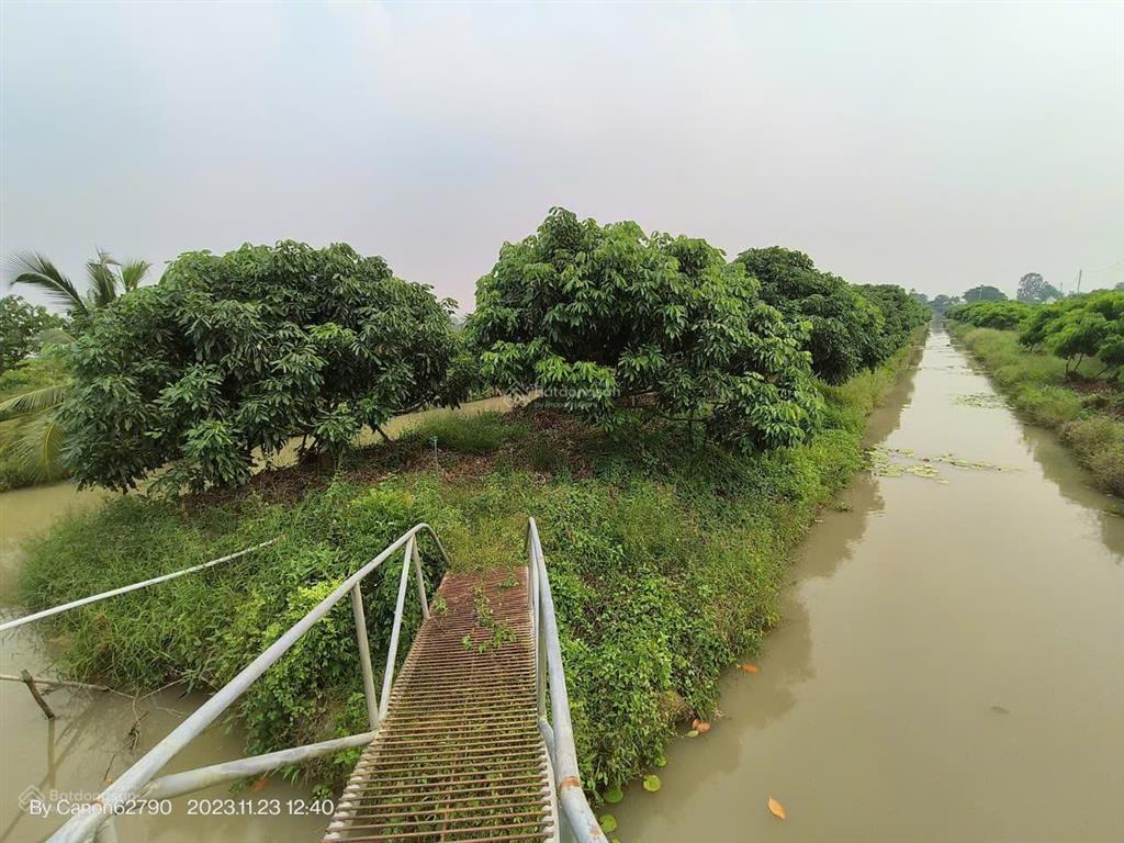 Mời tham quan 5,3 ha kdl "rừng sinh thái giữa đồng bằng" ngay vị trí trung tâm an giang (mới)  tl