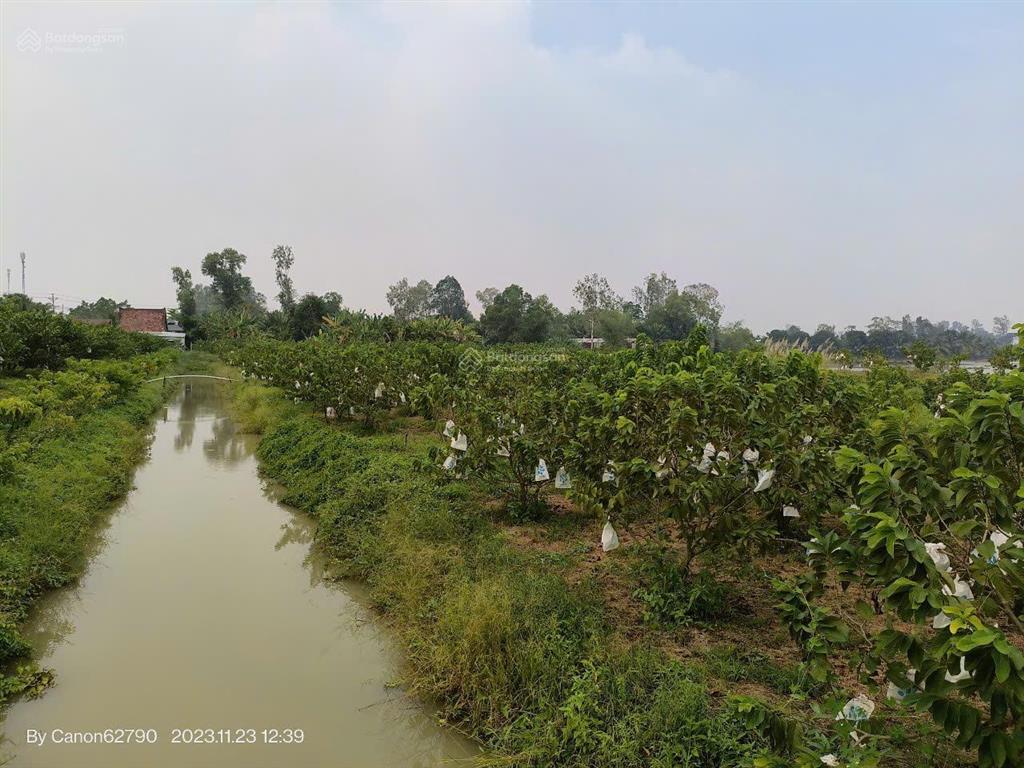 Mời tham quan 5,3 ha kdl "rừng sinh thái giữa đồng bằng" ngay vị trí trung tâm an giang (mới)  tl