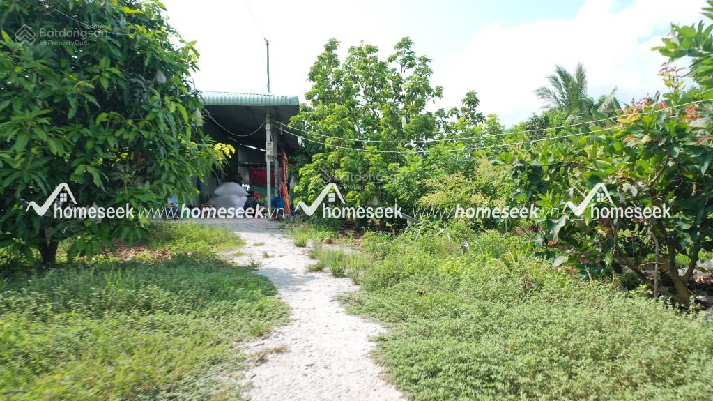 Mời tham quan 5,3 ha kdl "rừng sinh thái giữa đồng bằng" ngay vị trí trung tâm an giang (mới)  tl