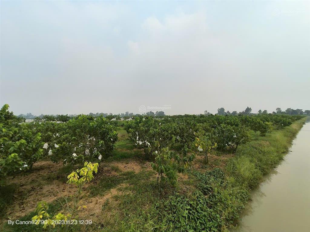 Mời tham quan 5,3 ha kdl "rừng sinh thái giữa đồng bằng" ngay vị trí trung tâm an giang (mới)  tl