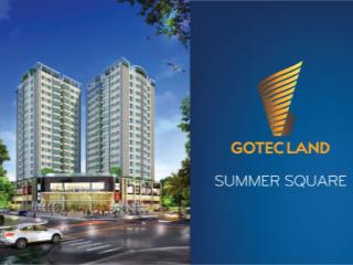Chính chủ cần bán căn hộ summer square ,q.6 , 64m2, 2pn, giá 3 tỷ , sổ hồng ,  0901 716 ***