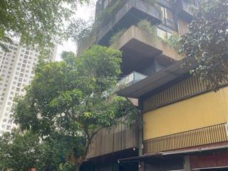 Bán bt lô góc đẹp xuất sắc tại khu đô thị mới pháp vân  tứ hiệp, 60 tỷ vnd, 230m2