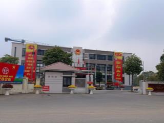 Bán đất tại kim chung, đông anh, 11,45 tỷ, 80m2, đường bìa làng 4 ôtô tránh