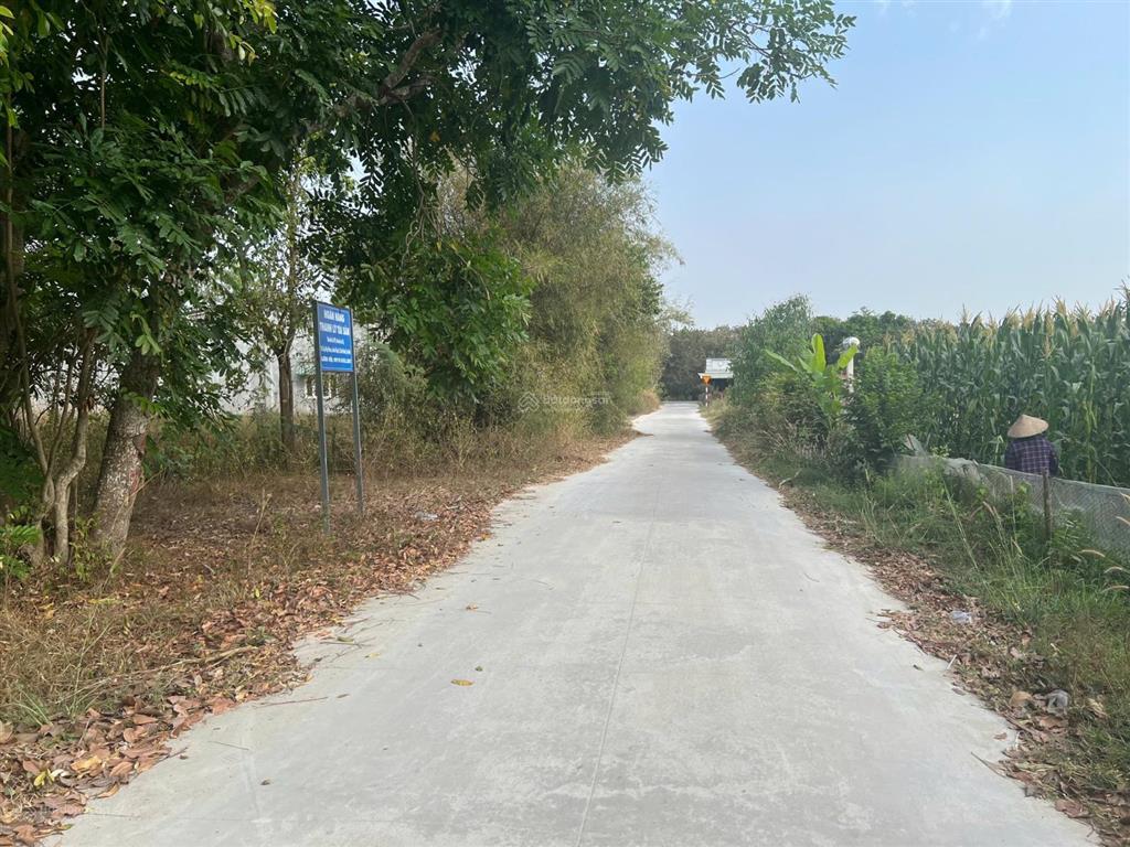 Ngân hàng thanh lý bđs tại ấp hiệp hòa, xã hòa thạnh, huyện châu thành, tỉnh tây ninh 579