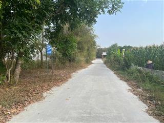 Ngân hàng thanh lý bđs tại ấp hiệp hòa, xã hòa thạnh, huyện châu thành, tỉnh tây ninh  579