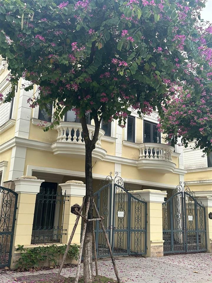 Mua 1 được 2 nhà ở + mặt bằng kinh doanh tại an lạc green symphony