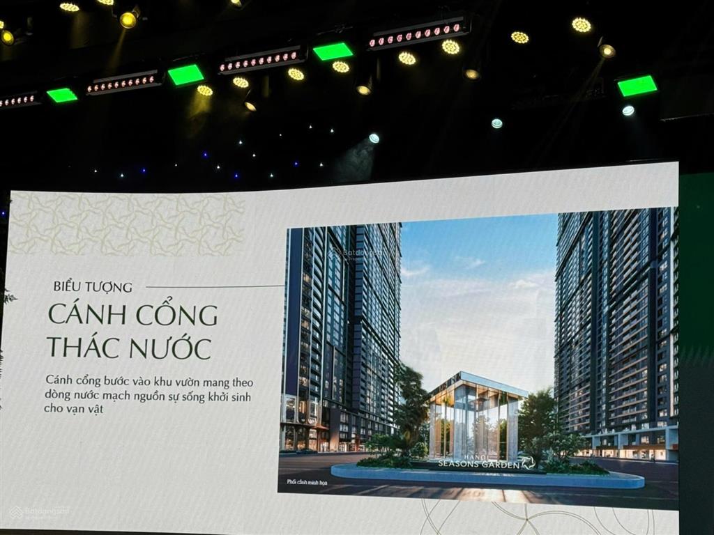 Cao xà lá cơ hội đầu tư đầy tiềm năng