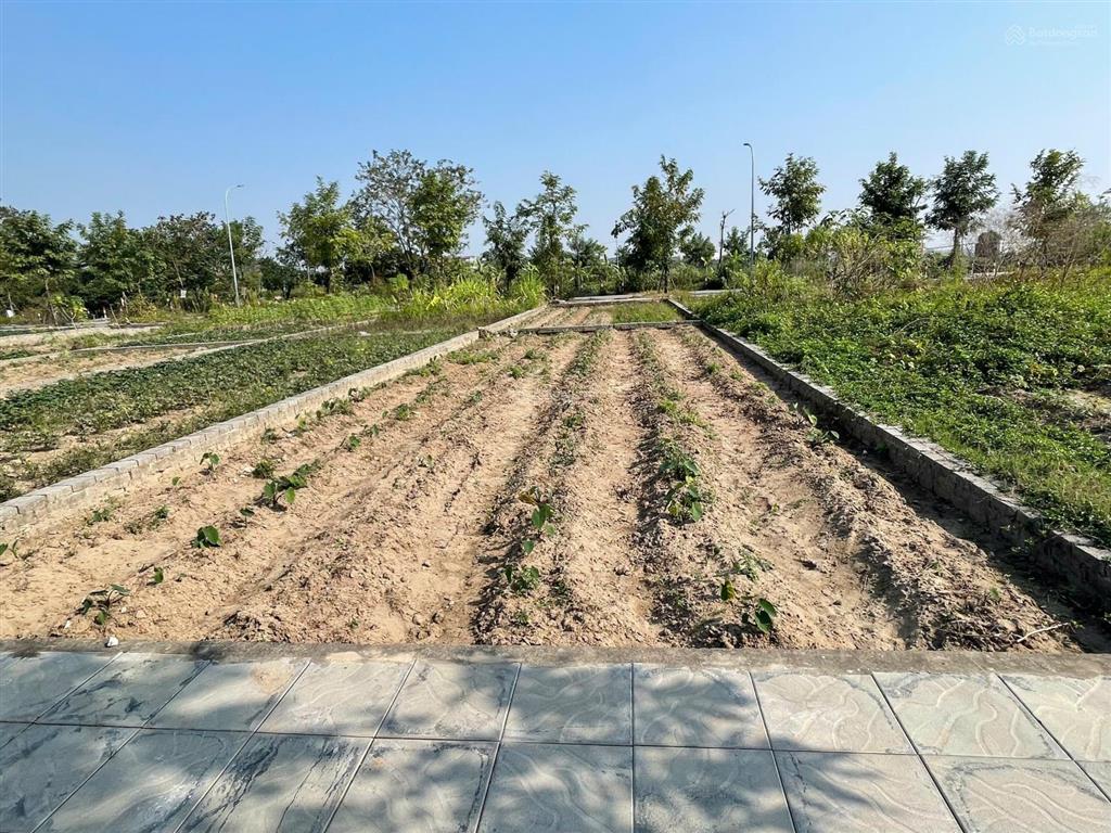Chuyển nhượng lô đất giãn dân khu vân hà diện tích 80m2 giá 90 tr/m2,  0906 995 ***