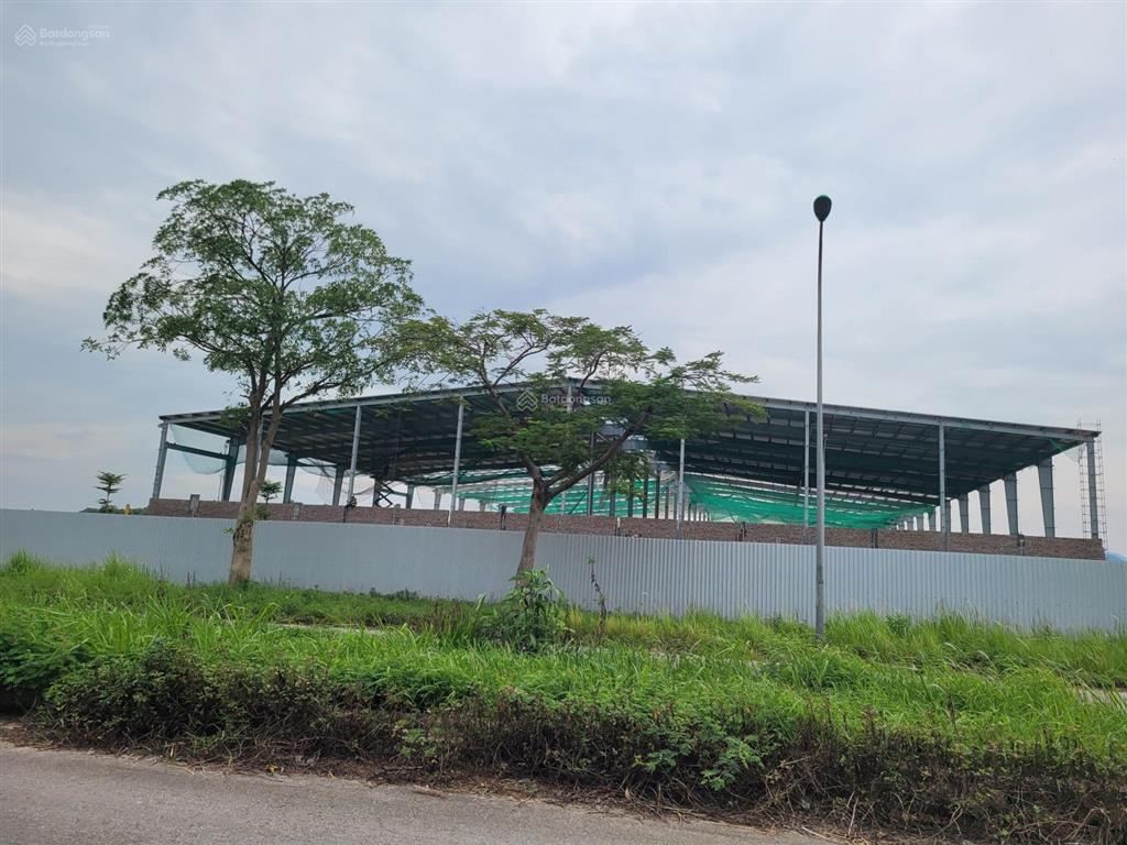 Bán gấp đất tại ngõ lũy, đạc tài, mai đình, sóc sơn, 39 triệu / m2, 112 m2