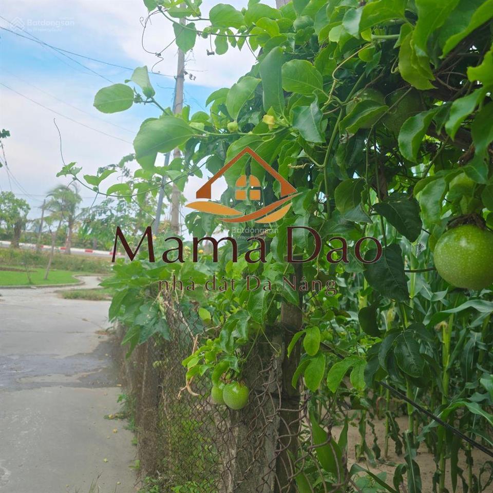 Lô đất đẹp cẩm thanh sát võ chí công ngang 7.5m